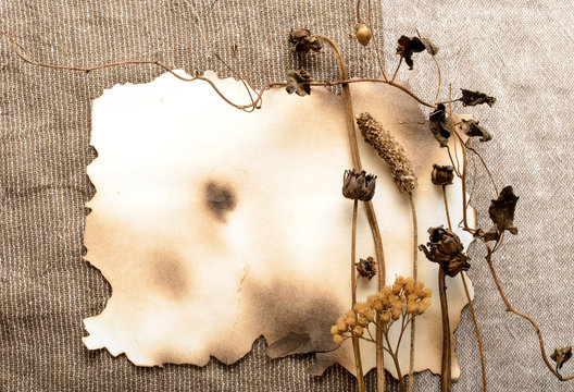 Dried Flowers, Beige Tissue,  Paper