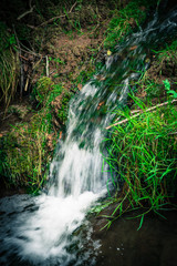 Wasserfall im Wald, wasser biotop