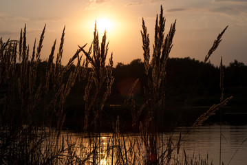 summer evening and sunset