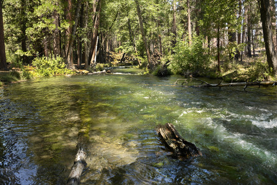
Hat Creek in Lassen National Park, Northern California. Absolutely beautiful with so much to do. Hiking, Biking, Swimming, camping, Mountain Climbing, and Fishing in the many Lakes and Streams