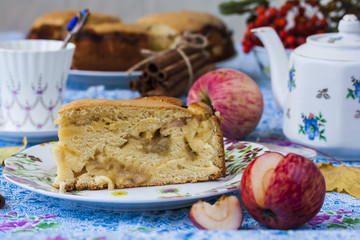 Piece of apple pie with cinnamon