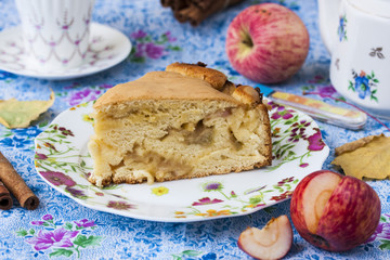 Piece of apple pie with cinnamon