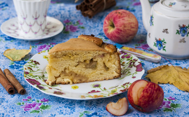 Piece of apple pie with cinnamon