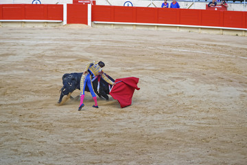 Bullfighter demonstrates his talent on a bullfighing show