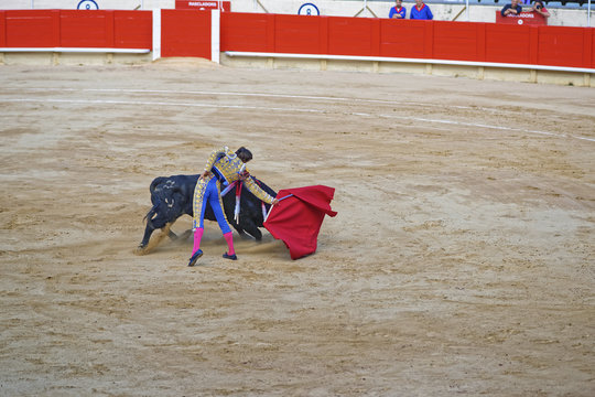 Bullfighter demonstrates his talent on a bullfighing show