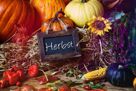 herbst Karte Tafel