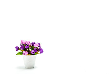 Bouquet of violet rose flower on white background.