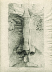 Pencil drawing of the front of the nose plaster from nature