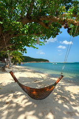 hammock and tree on a beach