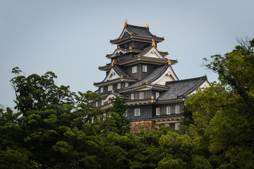 Okayama castle in Japan