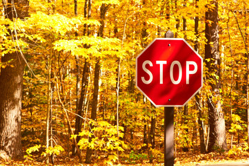 Autumn scene with road and stop sign