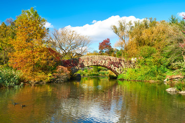 Fototapeta na wymiar New York City Central Park in autumn