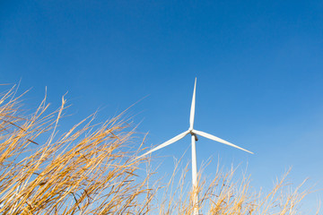 Wind power generator on blue sky