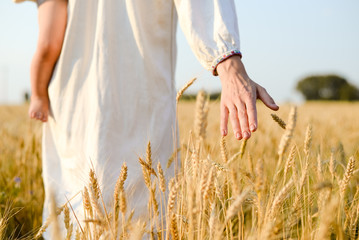 Hand with wheat on sunny day outdoors background, close up
