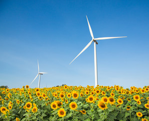 Wind power generator in sunflower field