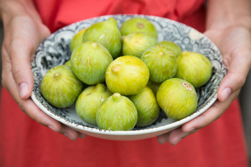 Woman hands holding a dish of green figs
