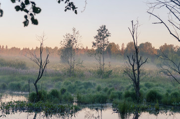 Misty morning  over pond. Russian nature