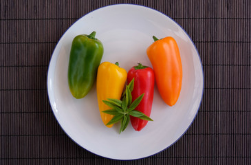 Four freshly picked peppers in yellow, green, orange and red colors, decorated with lemon verbena leaves.