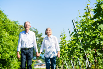 Senioren Frau und Mann bei Spaziergang im Sommer