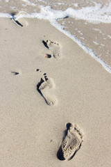 footprints / Footprints in wet beach sand