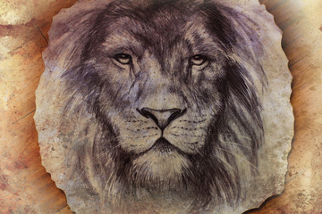 lion face drawing on vintage paper collage, abstract background