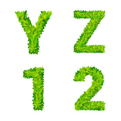 Latin alphabet font like grass leaves: Y, Z letter, 1, 2 number
