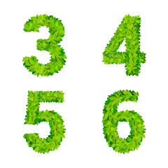 Latin alphabet font like grass leaves: 3, 4, 5, 6 number