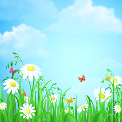 Grass with flower and butterflies vector flat background
