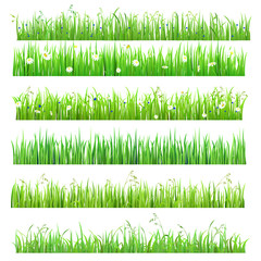 Vector flat isolated seamless grass lines with flower, butterfly