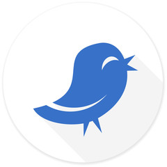 twitter flat design modern icon