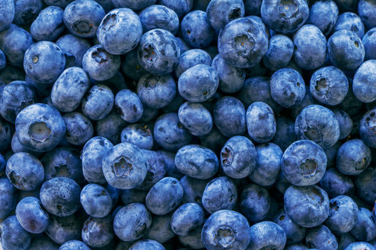 Blueberries fruit vitamin fresh