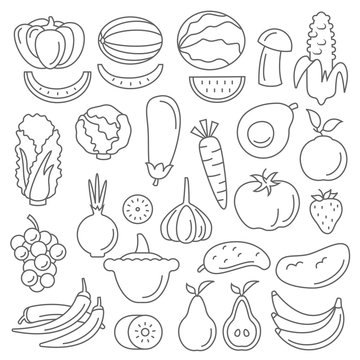 Line art vector graphical fancy set of fruit and vegetable