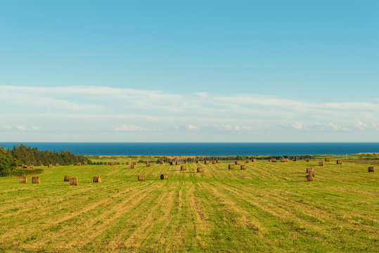 Scenic view of hay stacks on sunny day