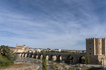 Fototapeta premium Córdoba ciudad monumental de Andalucía, España