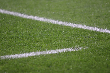 White stripes on the green soccer field