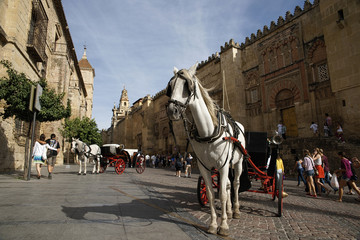 Fototapeta na wymiar Ciudad monumental de Córdoba, Andalucía, España