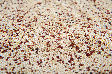 Quinoa Background