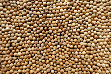 closeup background of pepper seeds.