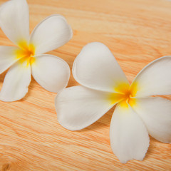 Fototapeta na wymiar White frangipani and wood background. 