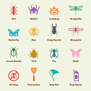 insect elements