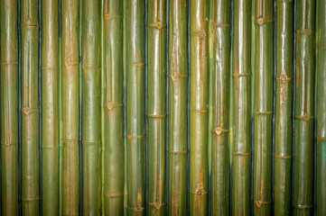Green bamboo interior wall