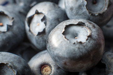 Macro image of a bunch of blueberries