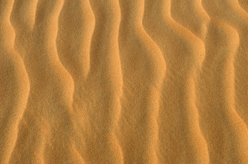 Abu Dhabi Desert