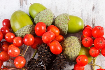 Autumn fruits of forest on rustic wooden background