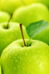Ripe green apples close up