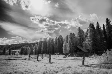 Landscape in the infrared