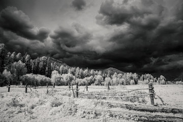 Landscape in the infrared