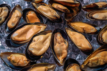 Halved fresh mussels on ice.