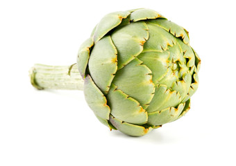 artichoke isolated on white