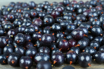 Heap of wild black currant close up